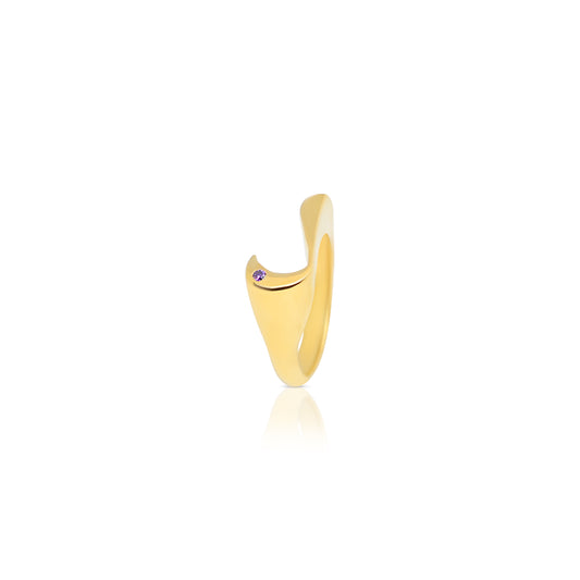 LAM Ring