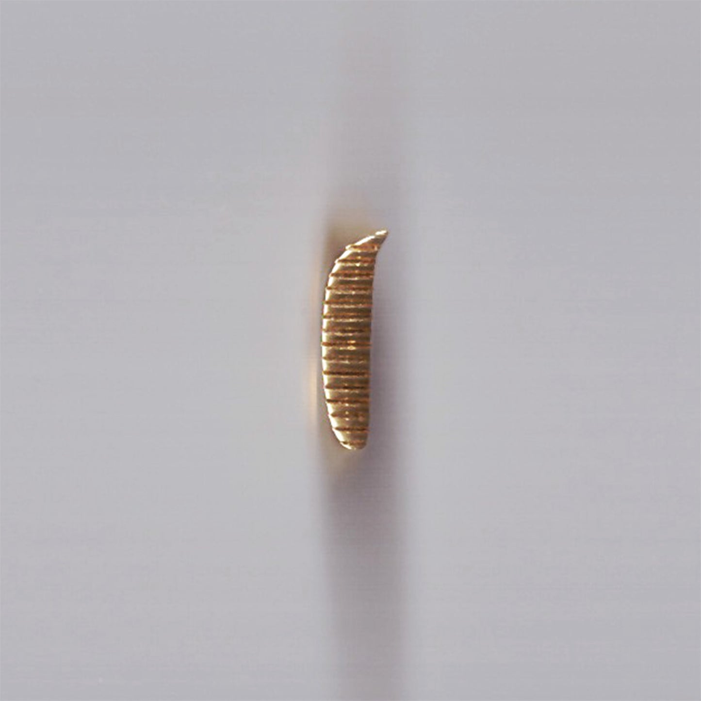 WAHAD Ring